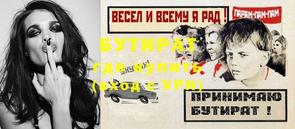 прущие грибы Сосновка
