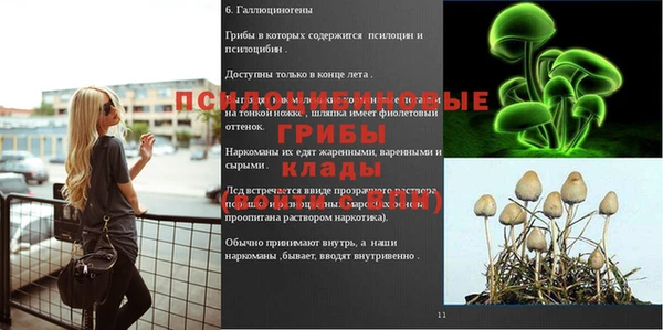 прущие грибы Сосновка
